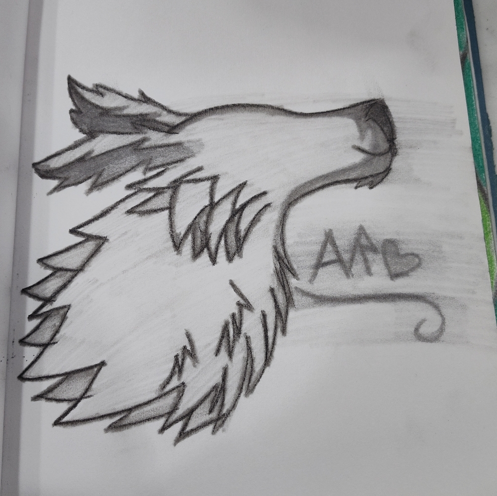 A charcoal drawing of a wolf head